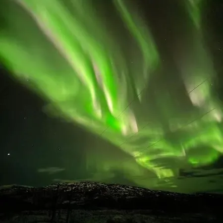 Aurora *