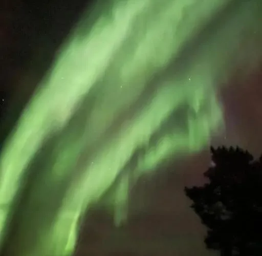 Aurora Tromsø