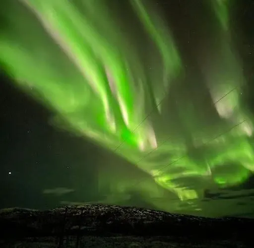 Aurora *